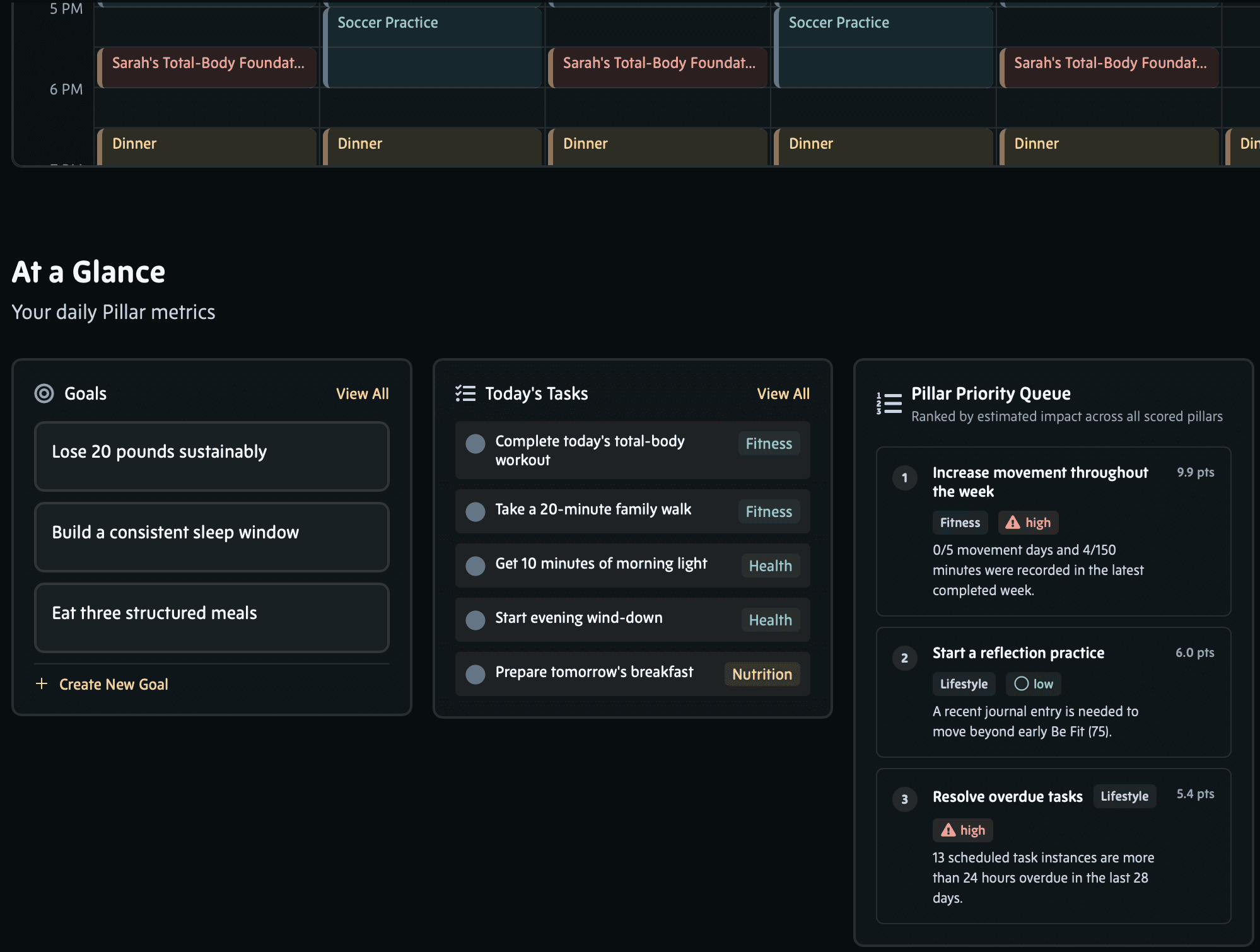 The Platform overview, showing where a member stands in Lifestyle, Health, Nutrition, and Fitness alongside the next ranked action in each.